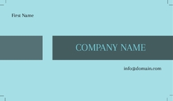 Basic-Business-card-991